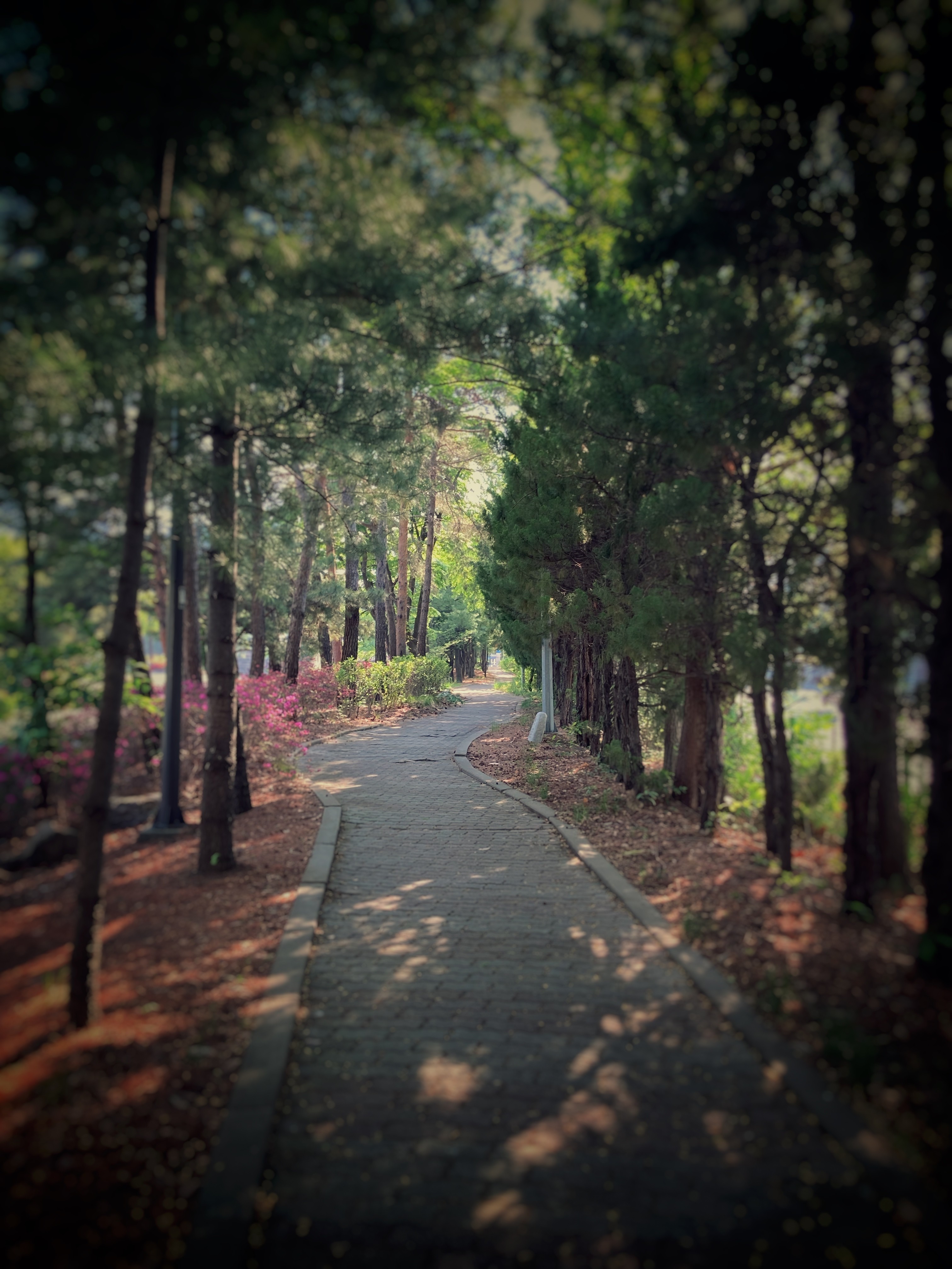perfect day for walk