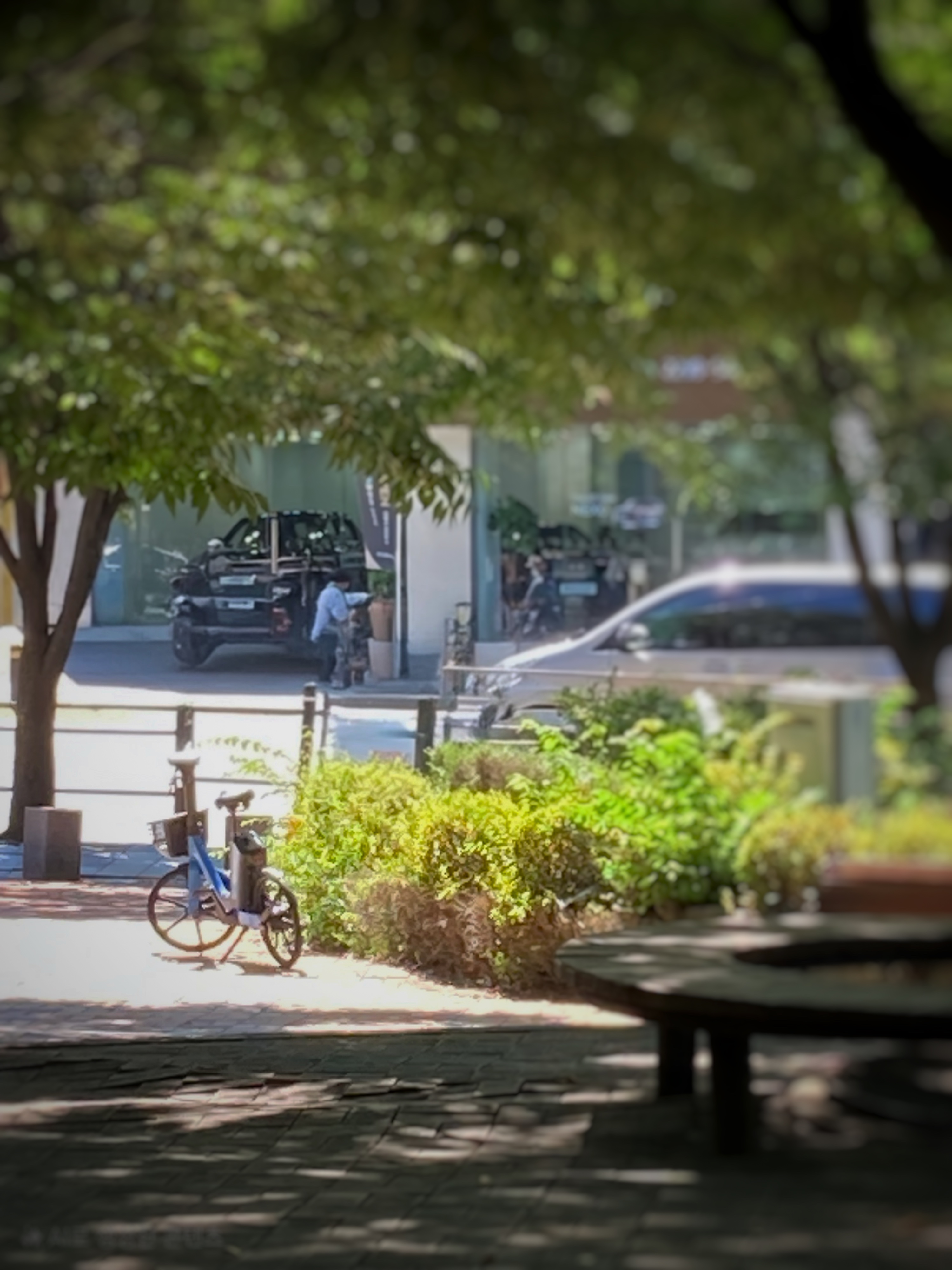 lunch-time-scenery
